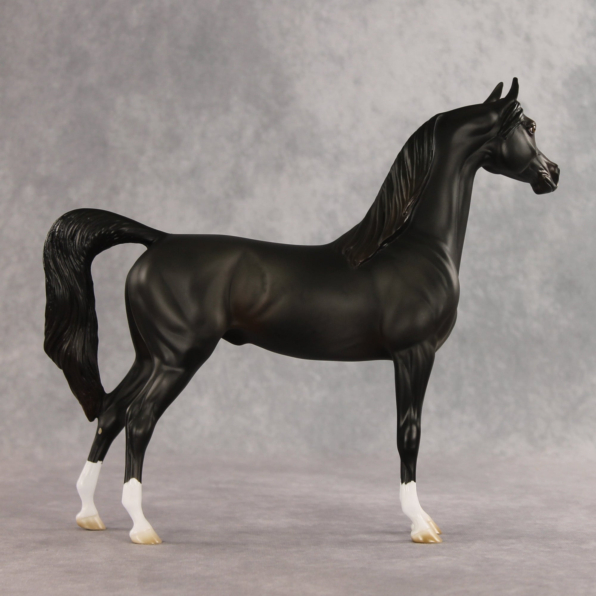 Signed, Seal Bay, Delivered OOAK Arabian Stallion by Jess Hamill VV26