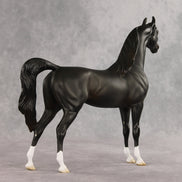 Signed, Seal Bay, Delivered OOAK Arabian Stallion by Jess Hamill VV26