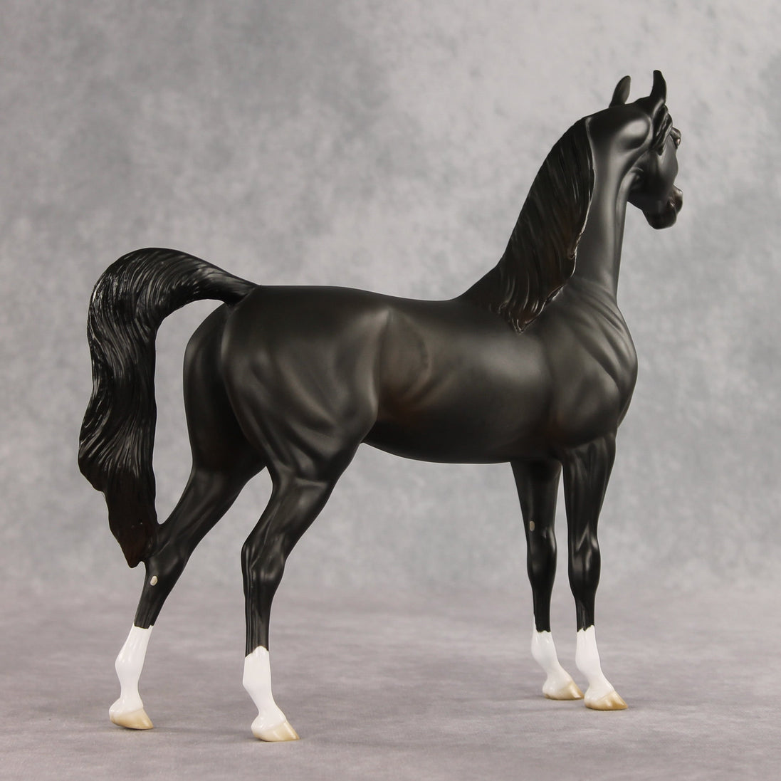 Signed, Seal Bay, Delivered OOAK Arabian Stallion by Jess Hamill VV26