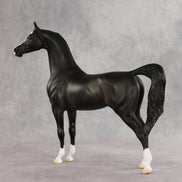 Signed, Seal Bay, Delivered OOAK Arabian Stallion by Jess Hamill VV26