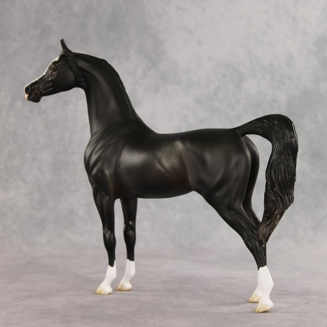 Signed, Seal Bay, Delivered OOAK Arabian Stallion by Jess Hamill VV26