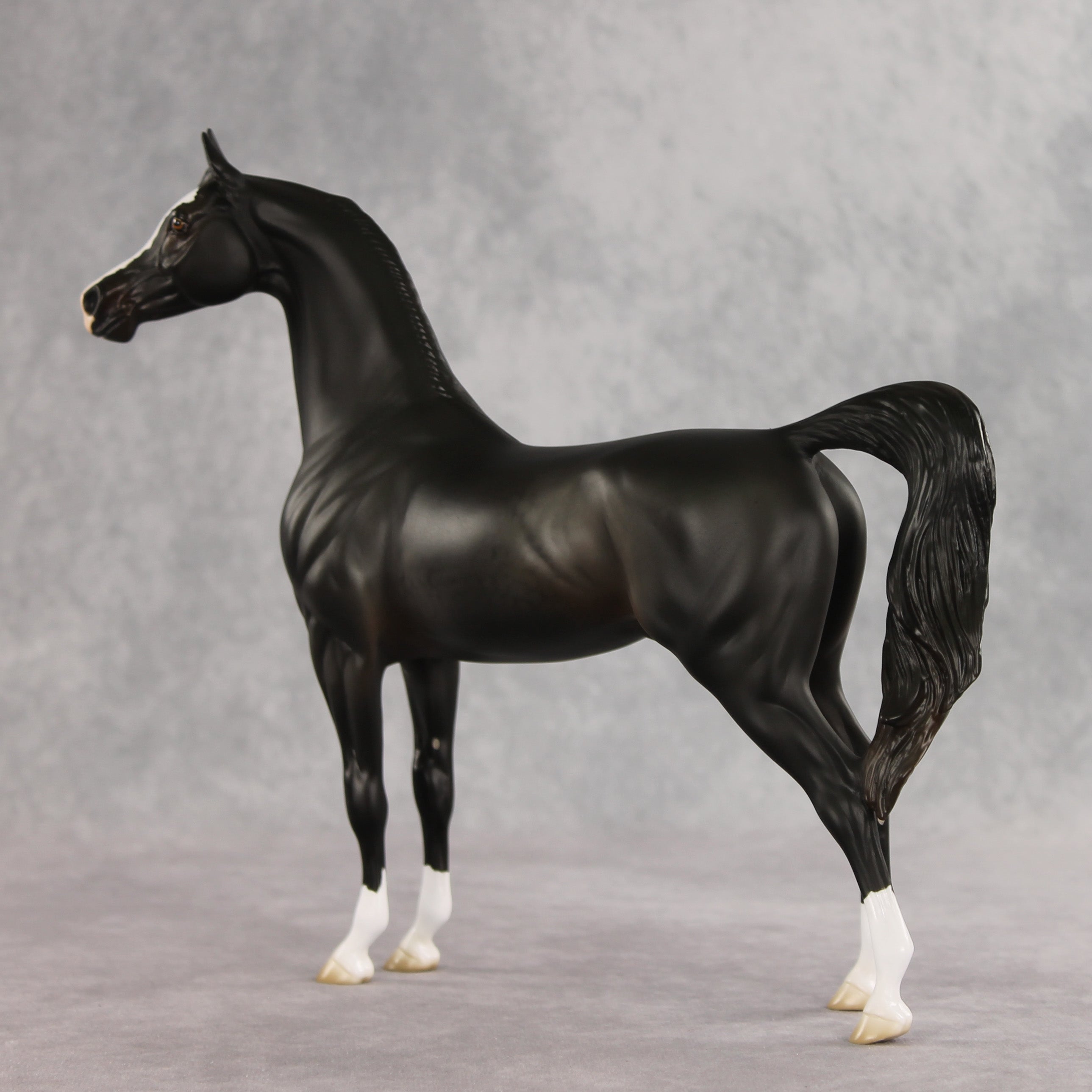 Signed, Seal Bay, Delivered OOAK Arabian Stallion by Jess Hamill VV26