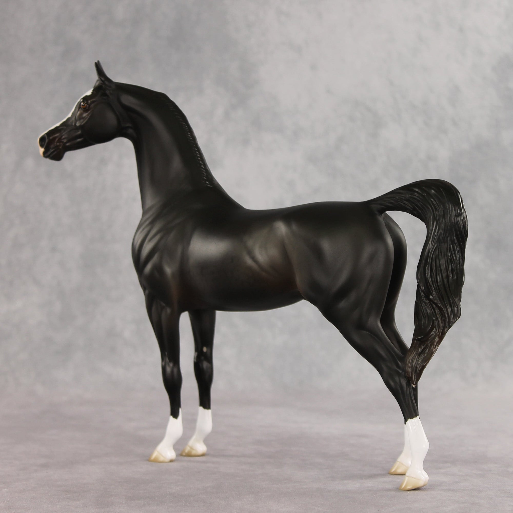 Signed, Seal Bay, Delivered OOAK Arabian Stallion by Jess Hamill VV26