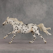 Silken LE-10 FCM Volo by Jess Hamill EQ26