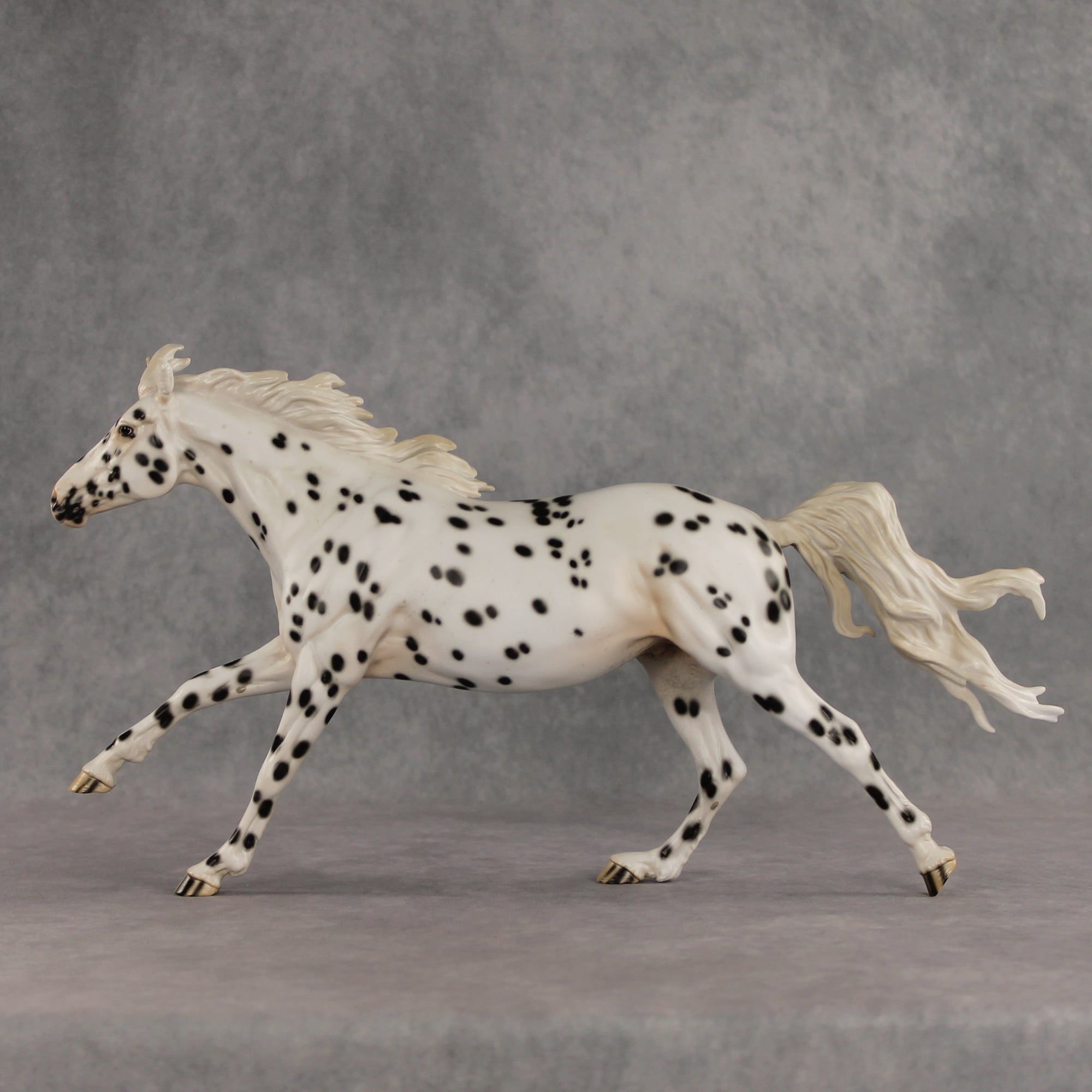 Silken LE-10 FCM Volo by Jess Hamill EQ26