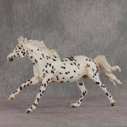 Silken LE-10 FCM Volo by Jess Hamill EQ26