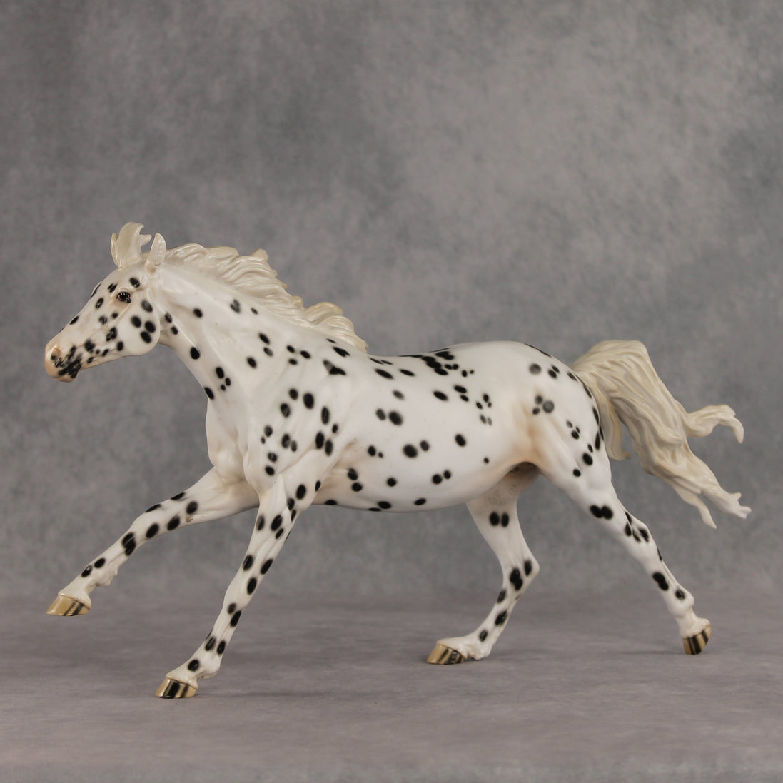 Silken LE-10 FCM Volo by Jess Hamill EQ26