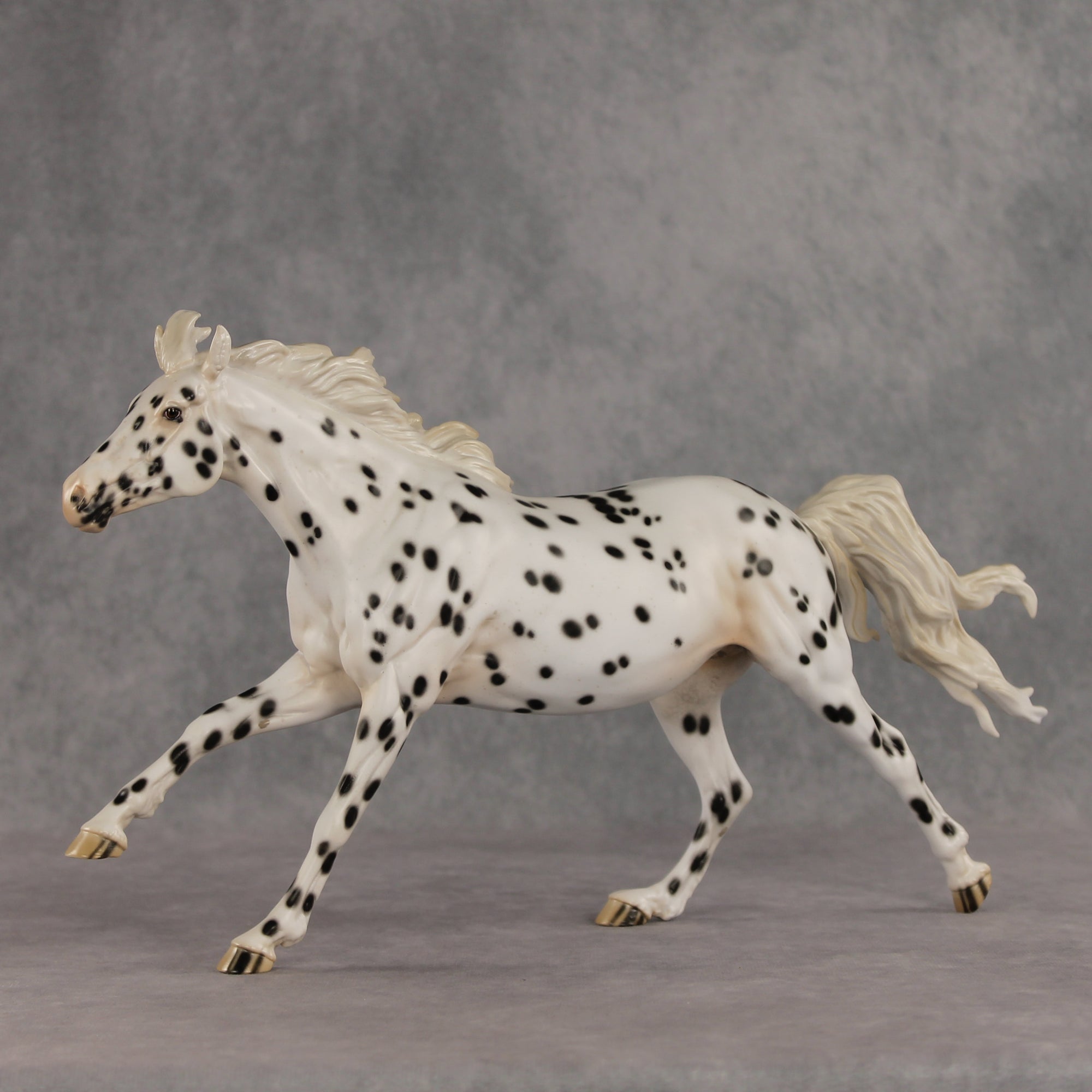 Silken LE-10 FCM Volo by Jess Hamill EQ26
