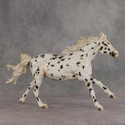 Silken LE-10 FCM Volo by Jess Hamill EQ26
