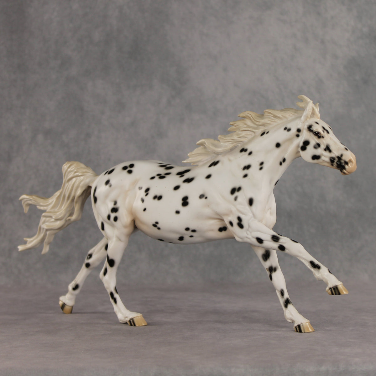 Silken LE-10 FCM Volo by Jess Hamill EQ26