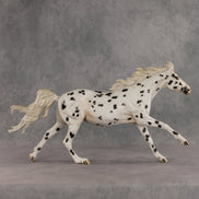 Silken LE-10 FCM Volo by Jess Hamill EQ26