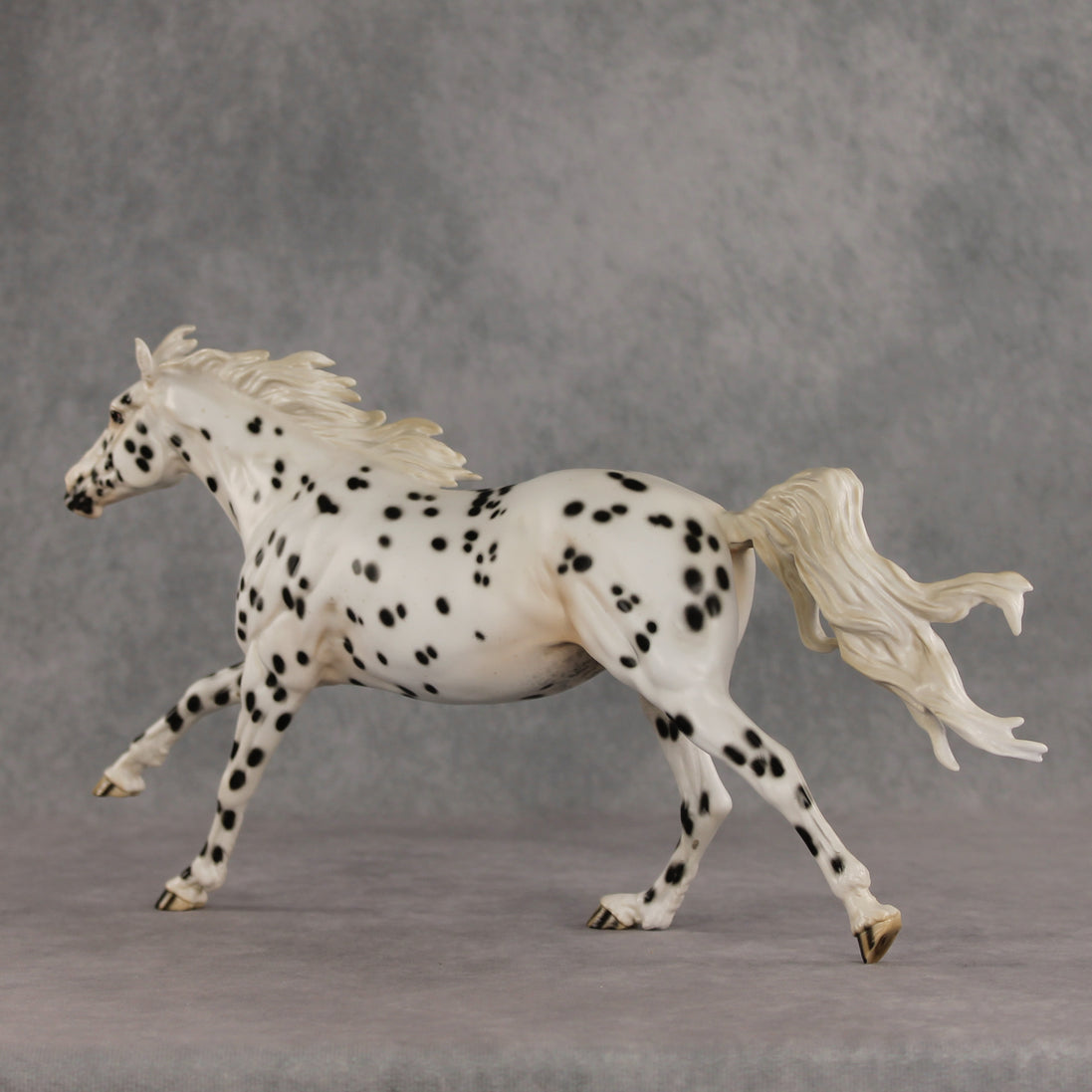 Silken LE-10 FCM Volo by Jess Hamill EQ26
