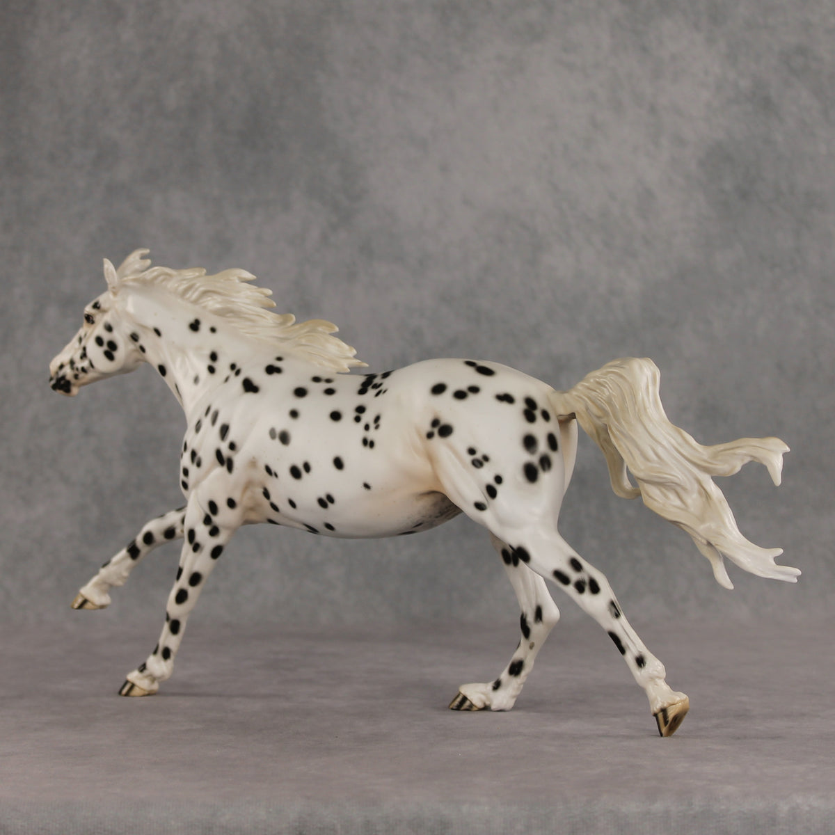 Silken LE-10 FCM Volo by Jess Hamill EQ26