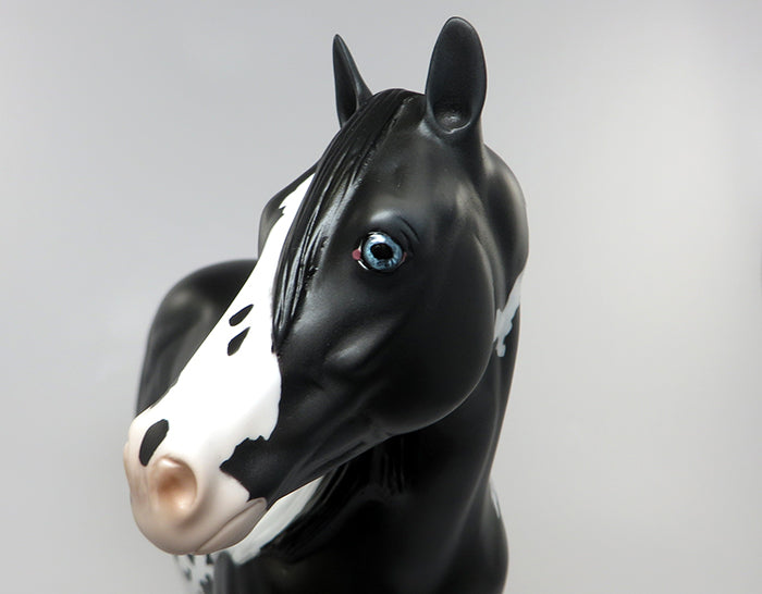 SLEEPING BEAUTY-BLACK PAINT ISH MODEL HORSE EQ 2016 7/28