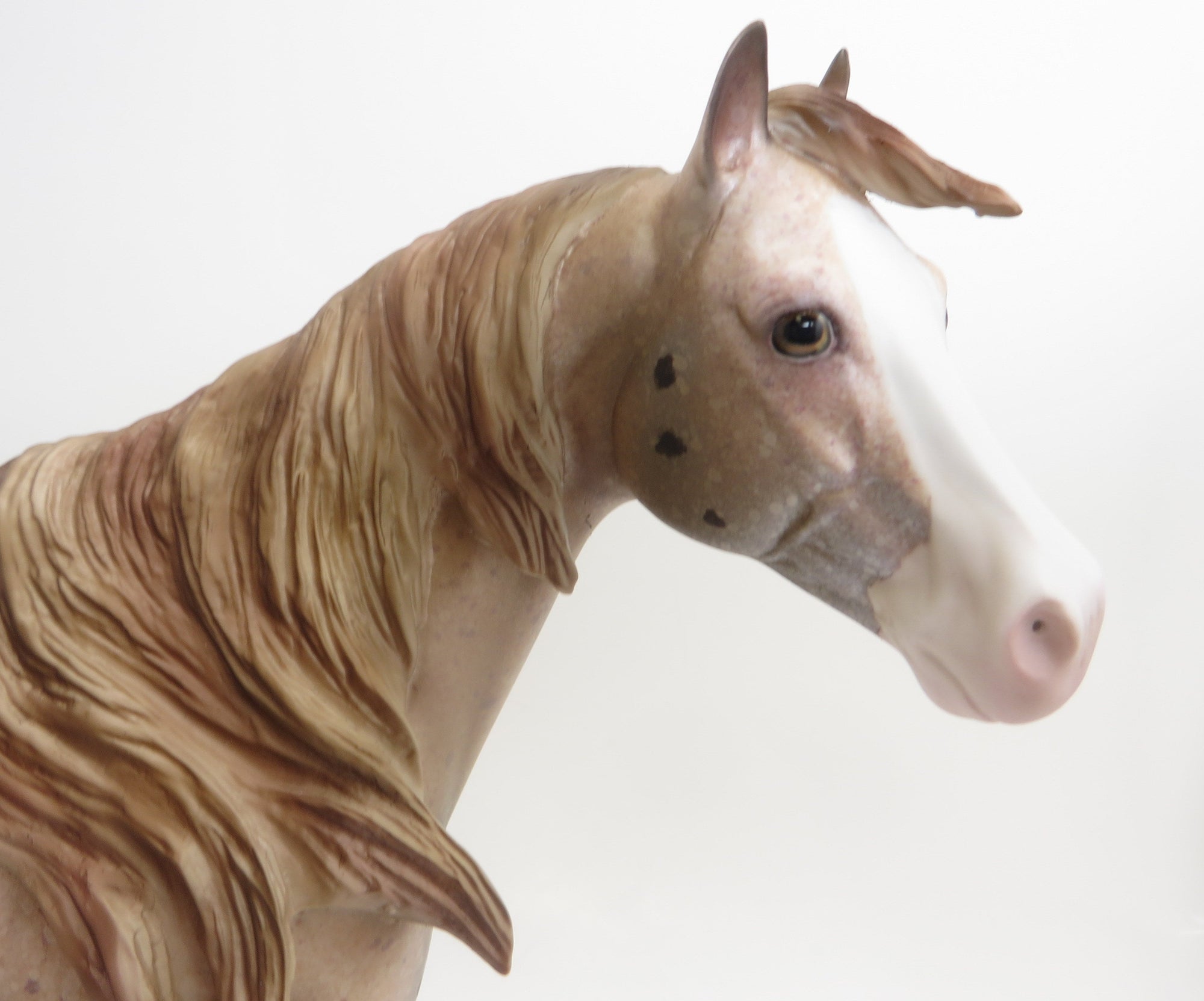 SNOOP DOG-OOAK-CHESTNUT APPALOOSA ISH 9/3