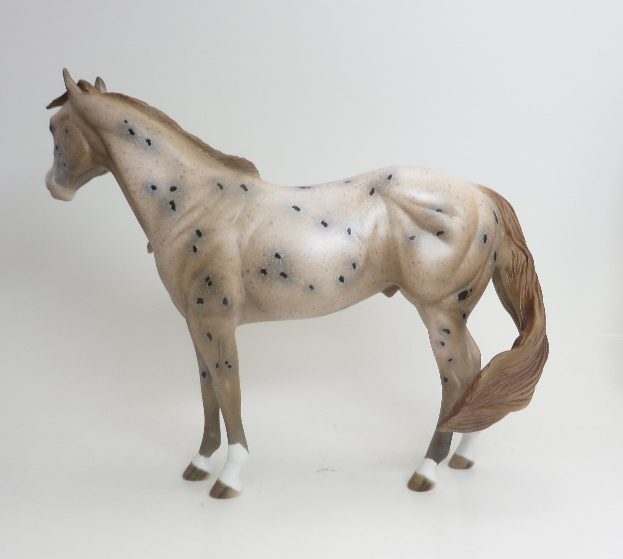 SNOOP DOG-OOAK-CHESTNUT APPALOOSA ISH 9/3