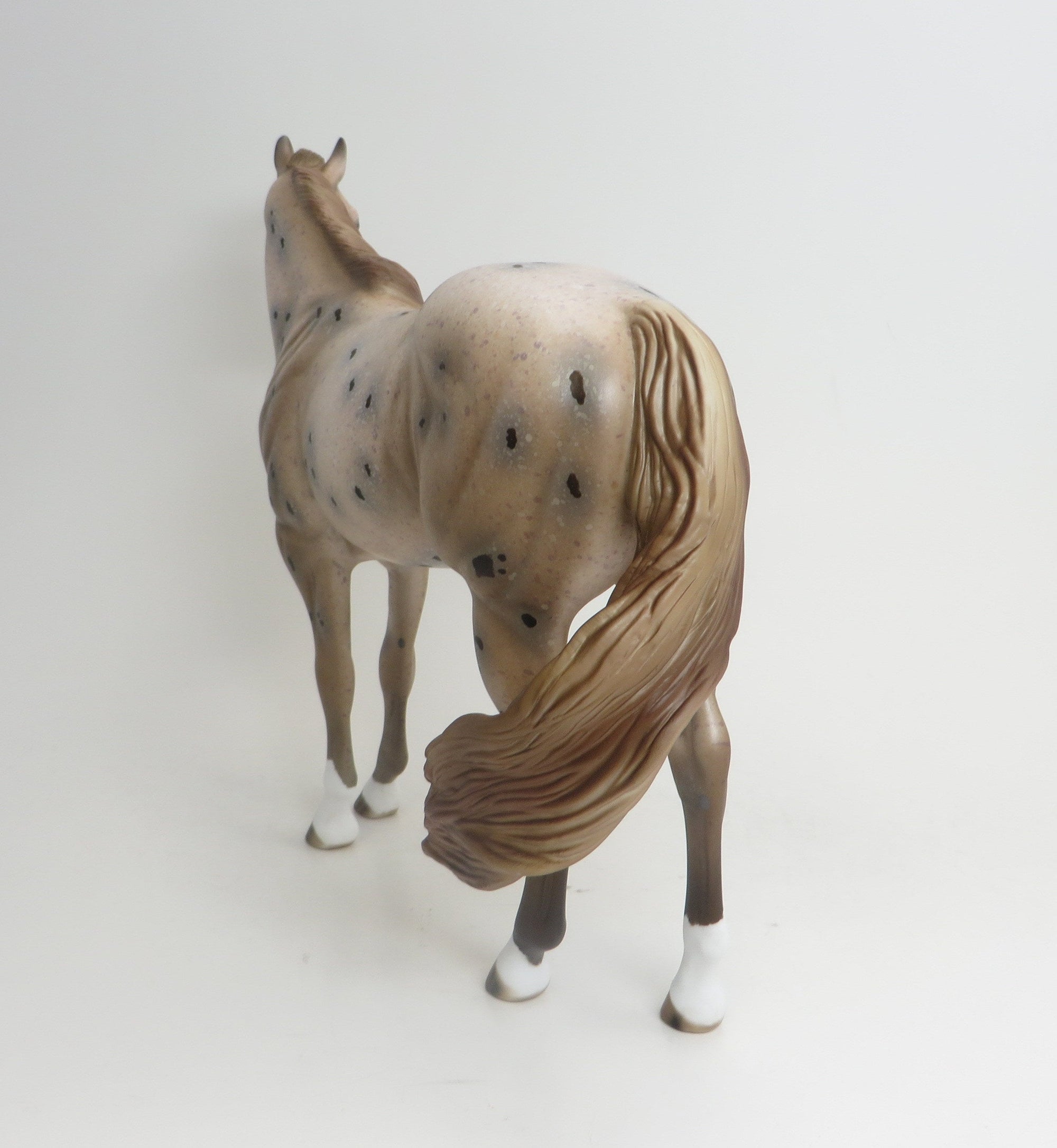 SNOOP DOG-OOAK-CHESTNUT APPALOOSA ISH 9/3