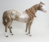 SNOOP DOG-OOAK-CHESTNUT APPALOOSA ISH 9/3