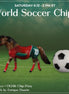 Morocco OOAK Chip Pony by Enrique Duarte SCD26
