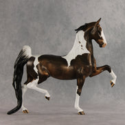 Soda Pop OOAK Saddlebred by Dawn Quick VV26