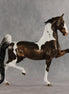 Soda Pop OOAK Saddlebred by Dawn Quick VV26