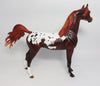 SALUTER-OOAK CUSTOM LIVER CHESTNUT APPALOOSA ARABIAN MODEL HORSE WHS 2017