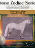 Spica LE-9 FCM Ideal Stock Horse by Ashley Palmer