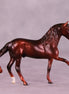 Spiced Apple Samba LE-5 FCM Chip Andalusian by Ashley Palmer LHS25