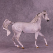 Sprinkle Toes OOAK Arabian Mare by Jess Hamill HS25