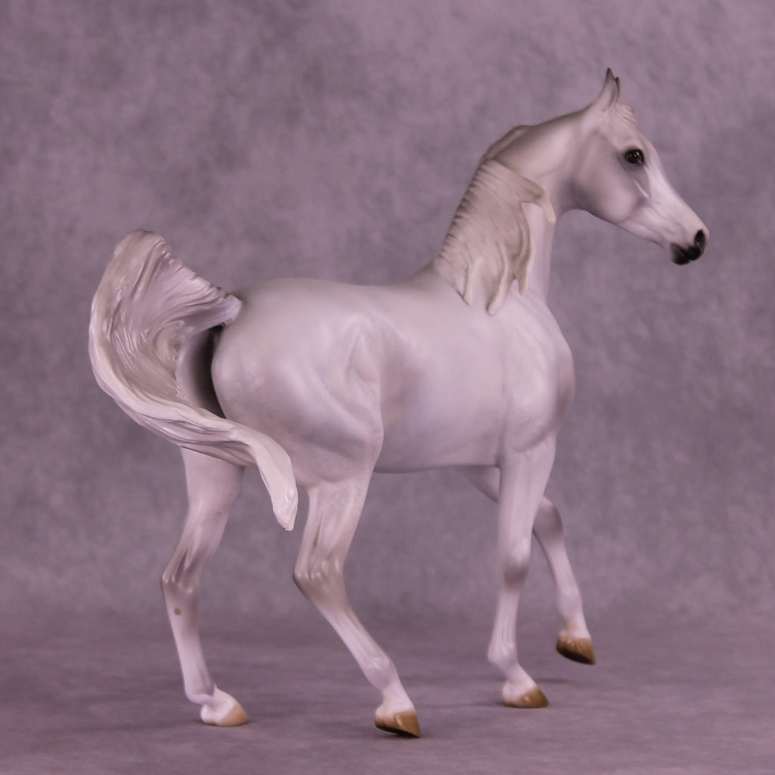Sprinkle Toes OOAK Arabian Mare by Jess Hamill HS25
