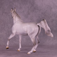 Sprinkle Toes OOAK Arabian Mare by Jess Hamill HS25