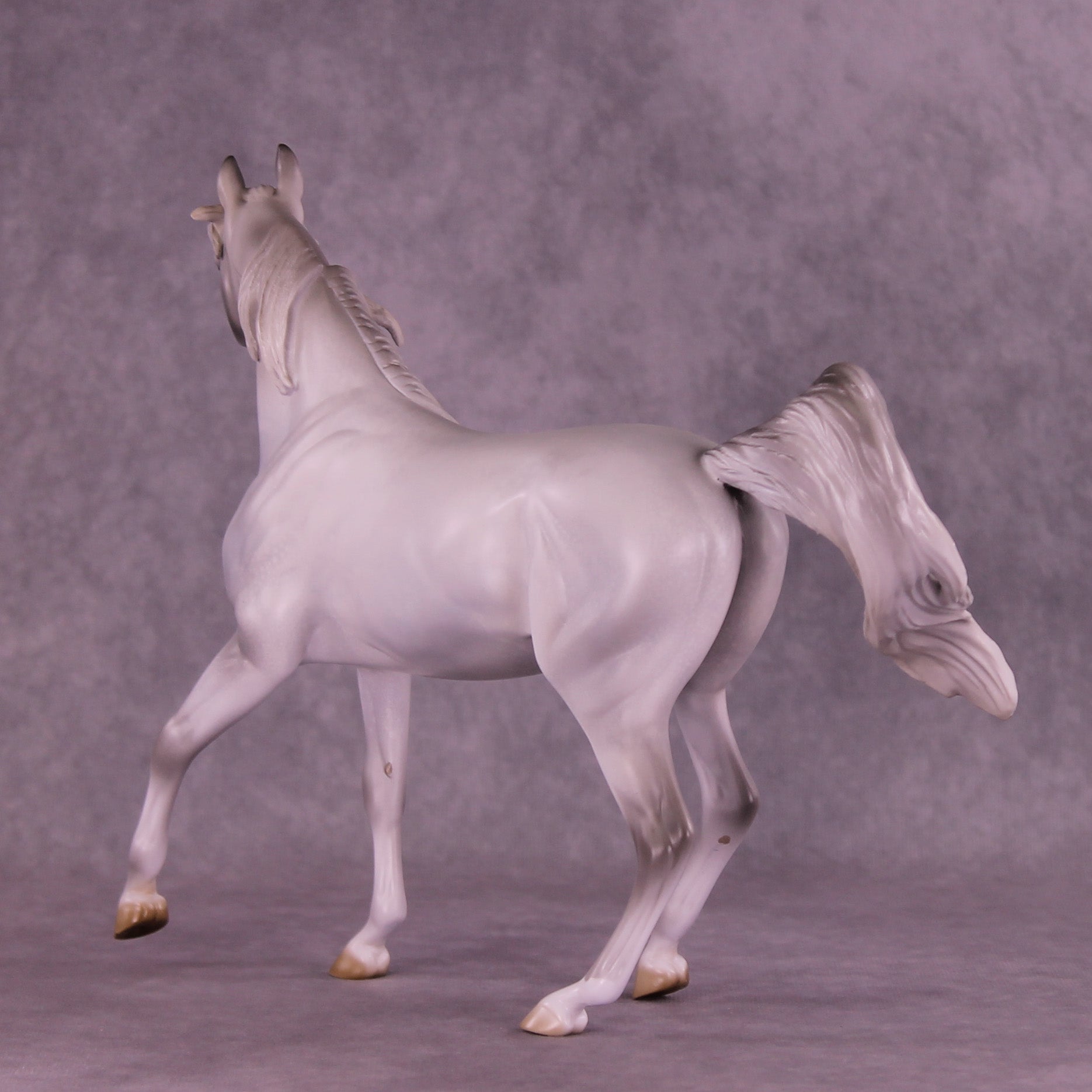 Sprinkle Toes OOAK Arabian Mare by Jess Hamill HS25