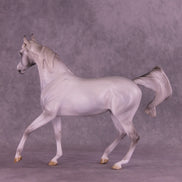 Sprinkle Toes OOAK Arabian Mare by Jess Hamill HS25