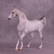 Sprinkle Toes OOAK Arabian Mare by Jess Hamill HS25