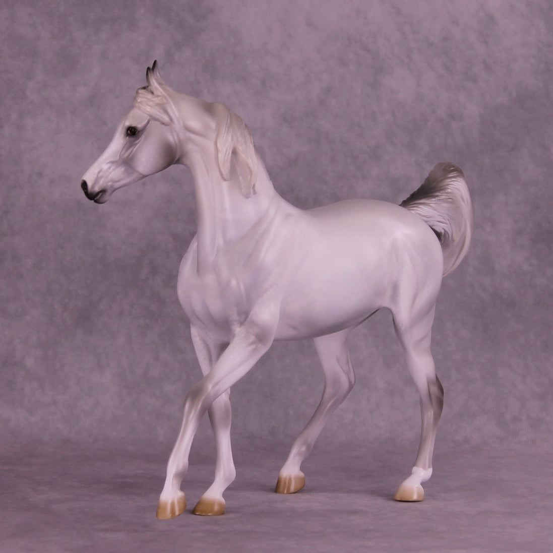 Sprinkle Toes OOAK Arabian Mare by Jess Hamill HS25