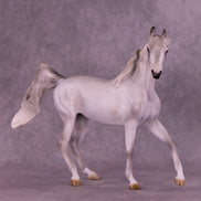 Sprinkle Toes OOAK Arabian Mare by Jess Hamill HS25