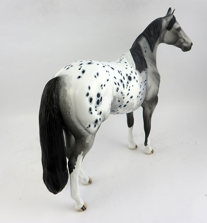 Appaloosa