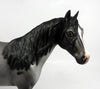 blue roan