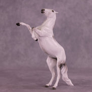 Stalagtite OOAK Pebble Mustang by Ellen Robbins HS25