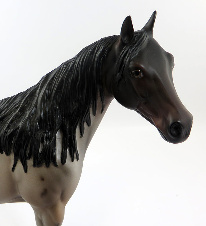 STAUBACH-OOAK BAY ROAN ISH MODEL HORSE BY JULIE KEIM 2/5/17