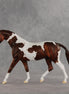 Steve OOAK FCM Pony by Dawn Quick VV26
