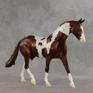 Steve OOAK FCM Pony by Dawn Quick VV26