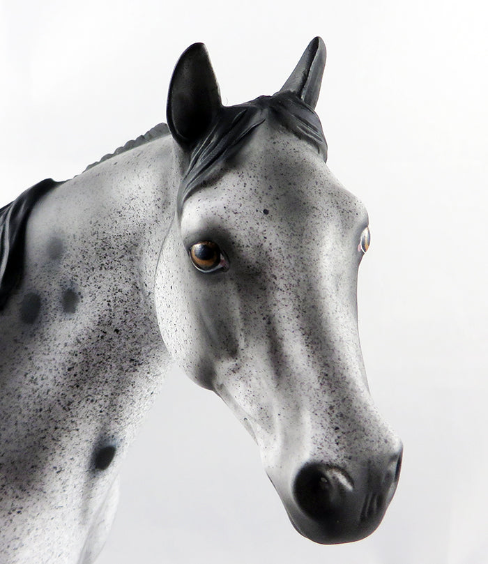 THE UNDERTAKER-OOAK LOUD APPALOOSA ISH MODEL HORSE BY DAWN QUICK 9/8