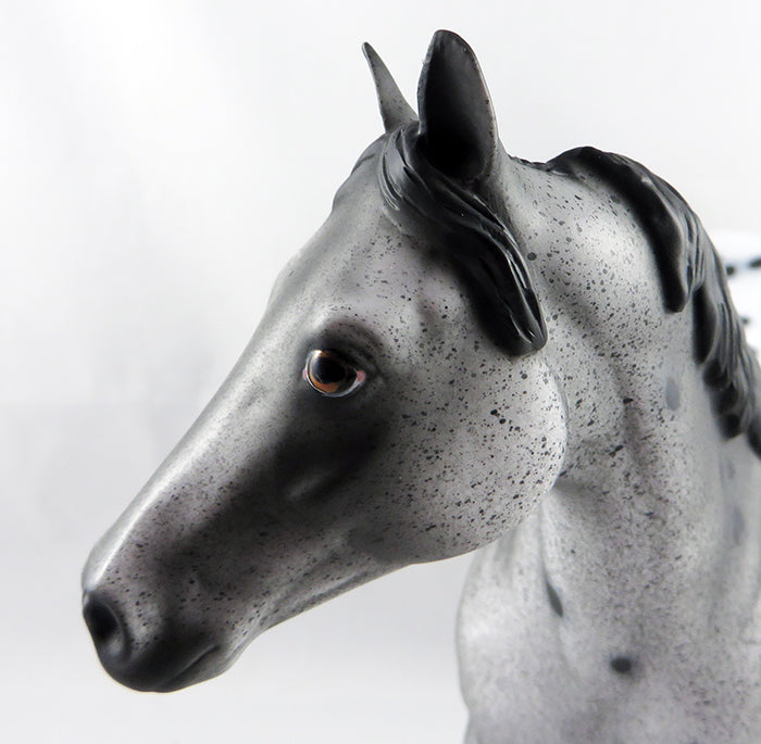 THE UNDERTAKER-OOAK LOUD APPALOOSA ISH MODEL HORSE BY DAWN QUICK 9/8