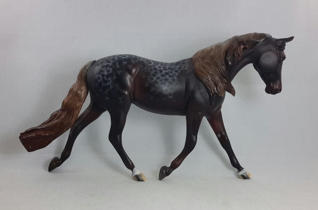 KALAMAZOO GAL - OOAK Reverse Dapple Palouse