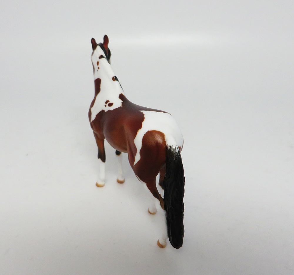 STONE MOUNTAIN-LE-5 CUSTOM BAY PAINT ANDALUSIAN MODEL HORSE EQ 2017