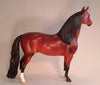 PANDENGO - Bay Morgan Horse LE15