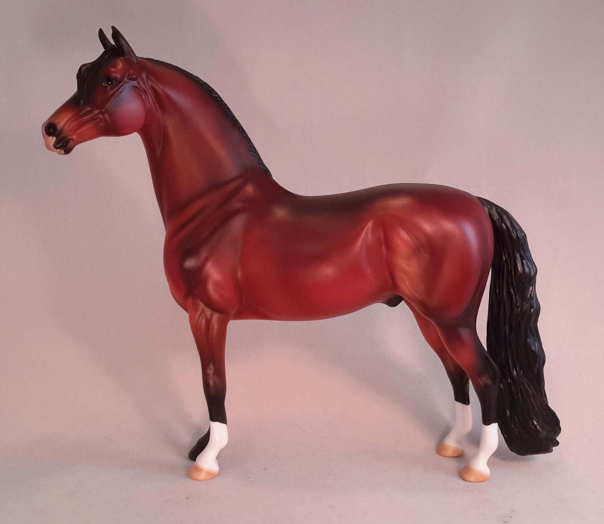 PANDENGO - Bay Morgan Horse LE15