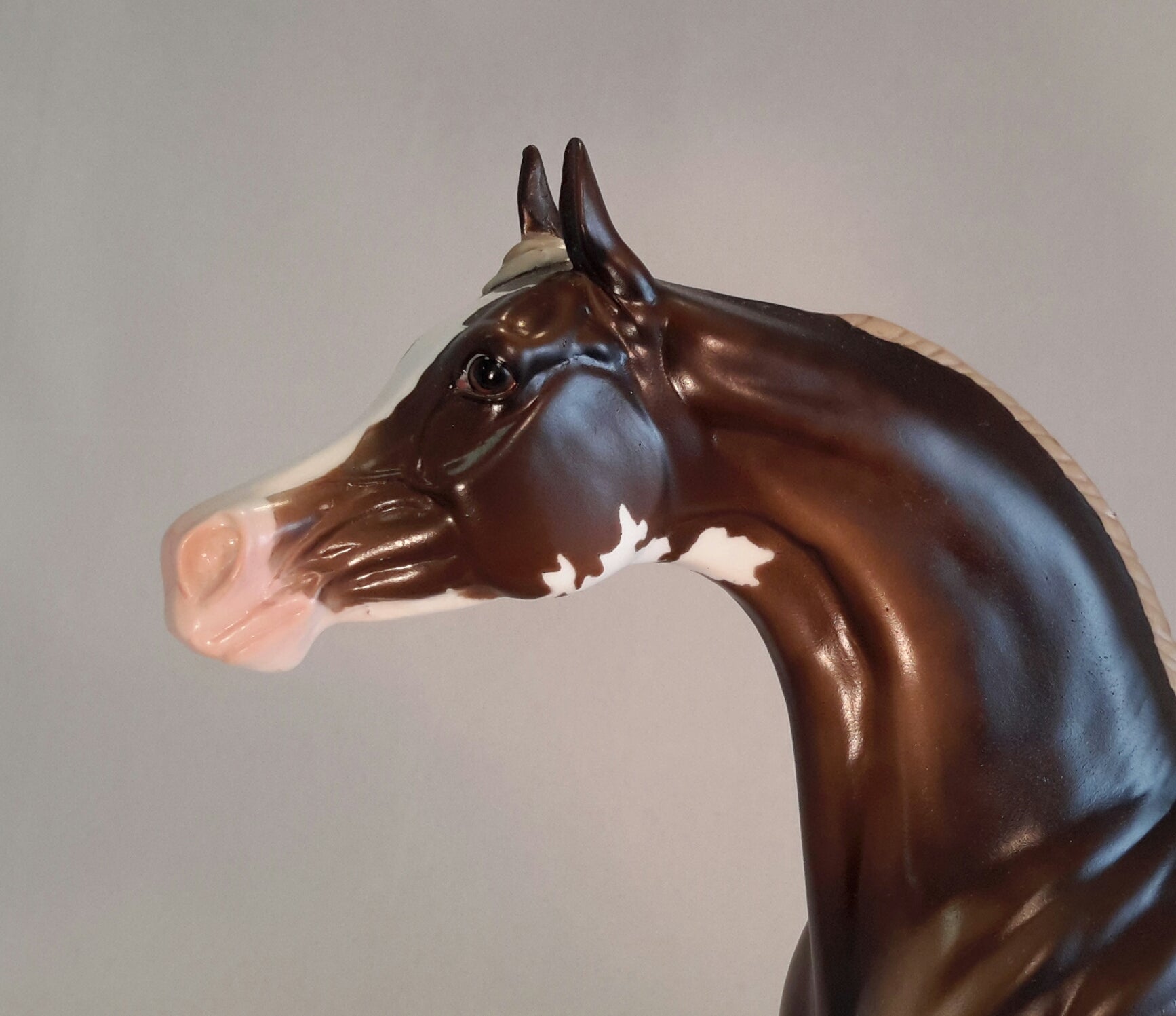 MAN OF APPALACHIA - Paint Dark Chestnut Arabian