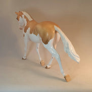 BACKSWIMMER - Palomino Paloose